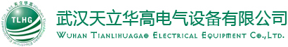 這是關于武漢天立華高電氣設備有限公司的logo圖片，歡迎大家來公司網站！